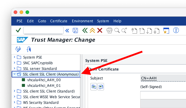 STRUST